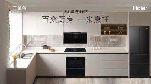 海尔厨房电器 国民信赖的世界500强品质之选